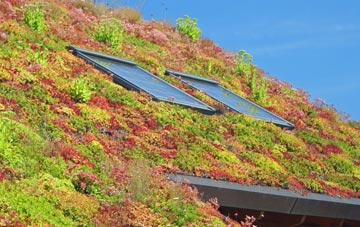 Kemberton living roof systems